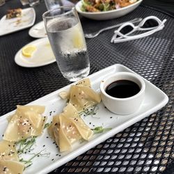 Wontons: pork and scallion and Asian Crunch Salad