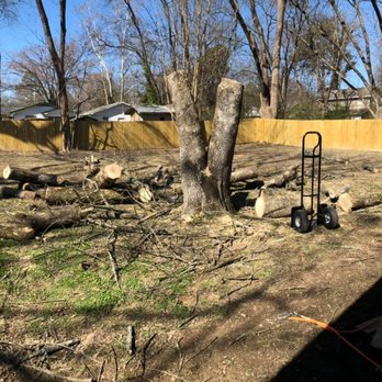 Dylan Tree Services - Tree Services Near Me Dylan Tree Services - Tree Services Near Me