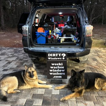 Weeki Wachee Window Washers - The dogs checking to make sure everything is ready to roll. - Window Washing Near Me Weeki Wachee Window Washers - The dogs checking to make sure everything is ready to roll. - Window Washing Near Me