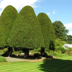 Malleny Garden
