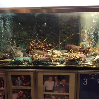 Solar dos Presuntos - Seafood Near Me - Lisbon, 11