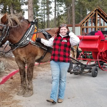 Tahoe Sleigh & Carriage Rides - Abraham and Sydney posing for me! - Tours Near Me - Stateline, Nevada Tahoe Sleigh & Carriage Rides - Abraham and Sydney posing for me! - Tours Near Me - Stateline, Nevada