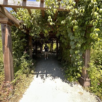 Sonoma Botanical Garden - Botanical Gardens Near Me - Glen Ellen, California