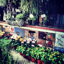 Puesto de flores