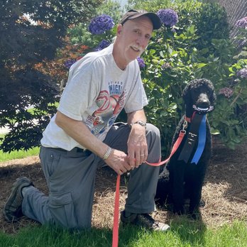 Good Dog Atlanta - Pet Training Near Me Good Dog Atlanta - Pet Training Near Me