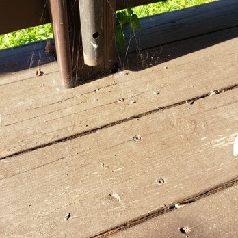 Aptive Pest Control - after their deck inspection. I have a photo of the ants on the back deck as well but could only upload 2. - Pest Control Near Me - Plano, Texas Aptive Pest Control - after their deck inspection. I have a photo of the ants on the back deck as well but could only upload 2. - Pest Control Near Me - Plano, Texas