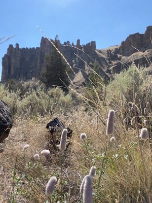 John Day Fossil Beds National Monument by null