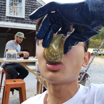 Glidden Point Oyster Farms - Seafood Markets Near Me - Edgecomb, Maine