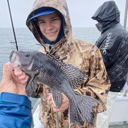 Black Sea bass!!