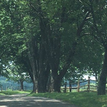 James Monroe's Highland - Landmarks & Historical Buildings Near Me - Charlottesville, Virginia