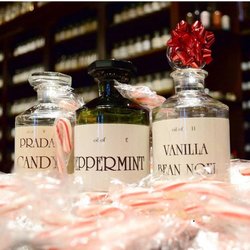 The Fragrance Shop - The Fragrance Shop