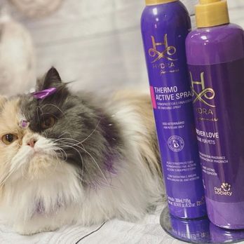 Glam Grooming - Lucy and Chloe - Pet Groomers Near Me - Fort Pierce, Florida Glam Grooming - Lucy and Chloe - Pet Groomers Near Me - Fort Pierce, Florida