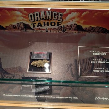 Planet 13 Las Vegas - Themed display cases - Cannabis Dispensaries Near Me - Las Vegas, Nevada Planet 13 Las Vegas - Themed display cases - Cannabis Dispensaries Near Me - Las Vegas, Nevada