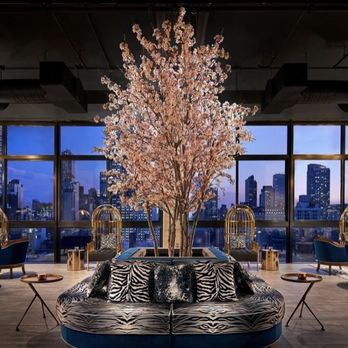 Hotel Hendricks - Rooftop bar area that you don't get to see because of Covid - Hotels Near Me - New York, New York Hotel Hendricks - Rooftop bar area that you don't get to see because of Covid - Hotels Near Me - New York, New York