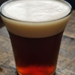 Ivory Bill Brewing - Just Brown