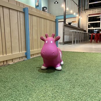 Sweet Cow - Desserts Near Me - Aurora, Colorado