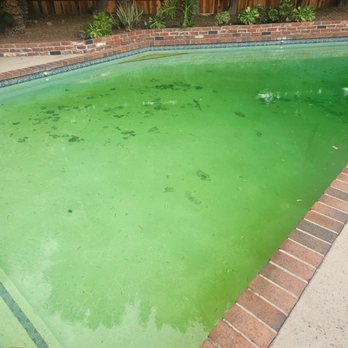 Gio's Pool and Spa - Pool Cleaners Near Me - Monrovia, California