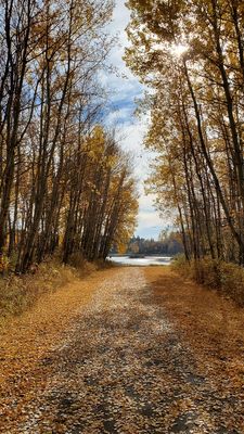 Elk Island National Park by null