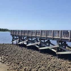 Shell Mound Campground