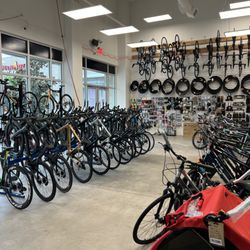 Playtri Sarasota - Playtri Sarasota Bike Shop and Triathlon Store