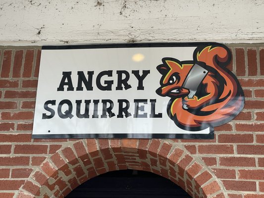 Angry Squirrel by null