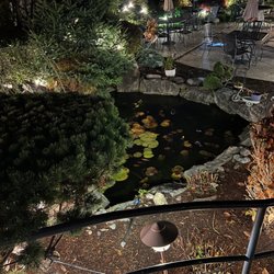 Umi Cafe - COO pond and patio at night