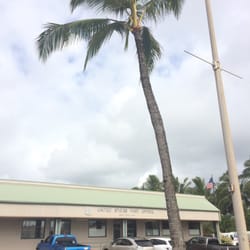 US Post Office - Okay I just wanted the palm tree in the pic