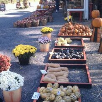 Marshall's Farm Market - Farmers Market Near Me - Delaware, New Jersey Marshall's Farm Market - Farmers Market Near Me - Delaware, New Jersey