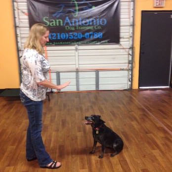 San Antonio Dog Training - Azula after 2 weeks - Pet Training Near Me - San Antonio, Texas San Antonio Dog Training - Azula after 2 weeks - Pet Training Near Me - San Antonio, Texas