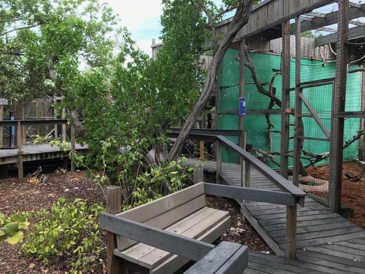 Wild Bird Sanctuary - Florida Keys Wild Bird Center by null