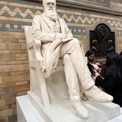 The Natural History Museum - Darwin