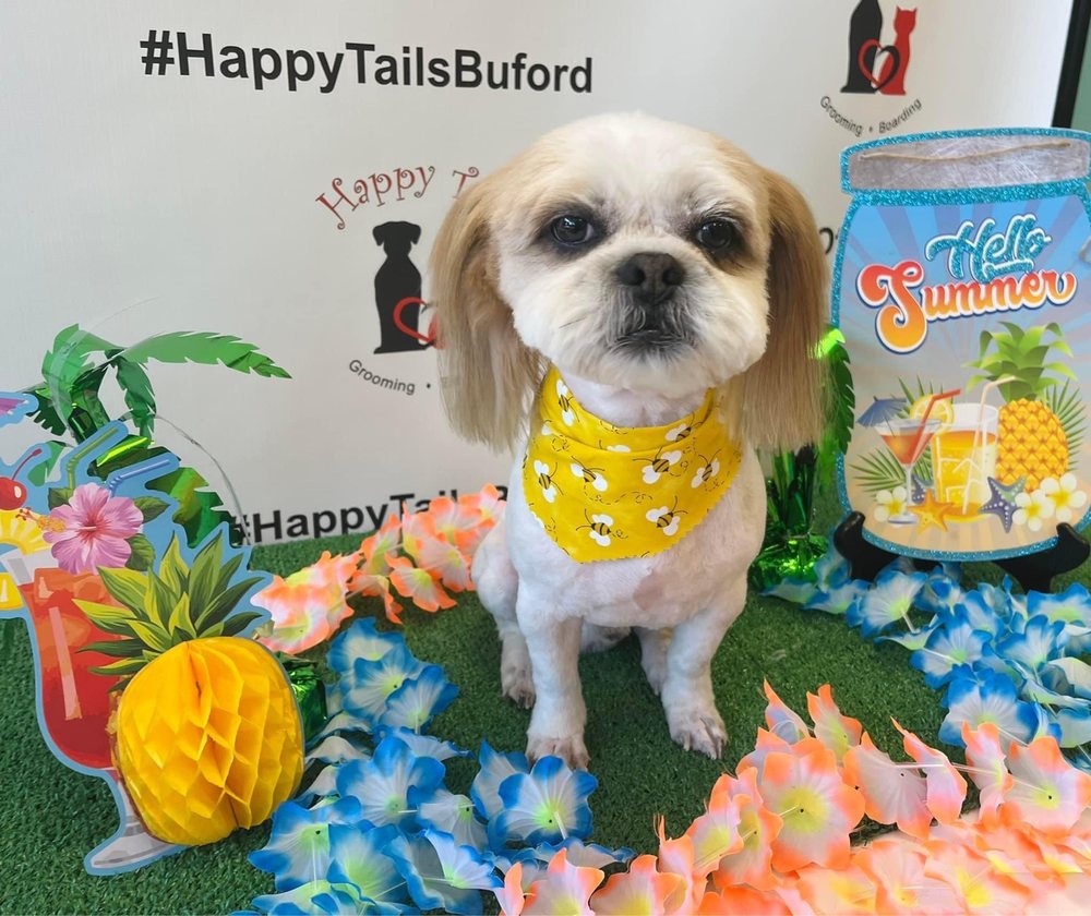 HAPPY TAILS PET GROOMING & BOARDING 53 Photos & 20 Reviews 1328