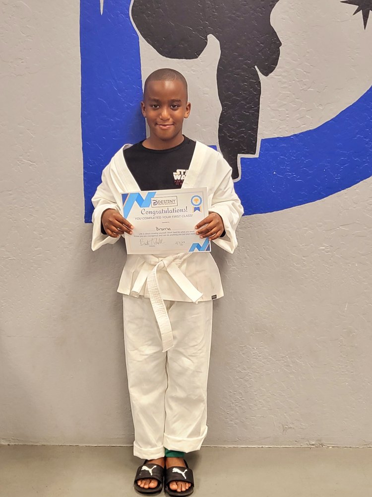 Destiny Martial Arts Academy Logo