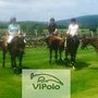 Photo of Virginia International Polo Club