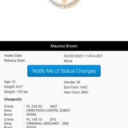 Measure Twice Construction - Charges boss decided to bail said employee out of