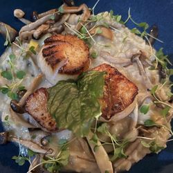 Alcédo Kitchen & Bar - Scallops with mushroom risotto