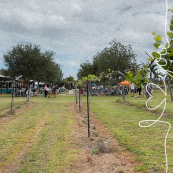 Summer Crush Vineyard and Winery - Wineries Near Me - Fort Pierce, Florida Summer Crush Vineyard and Winery - Wineries Near Me - Fort Pierce, Florida