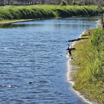 Myakka River State Park - Parks Near Me - Sarasota, Florida Myakka River State Park - Parks Near Me - Sarasota, Florida