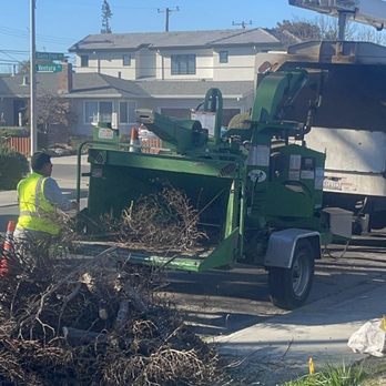 MG Tree Care - With professional equipment. Get job done and field clean in minutes. - Tree Services Near Me MG Tree Care - With professional equipment. Get job done and field clean in minutes. - Tree Services Near Me