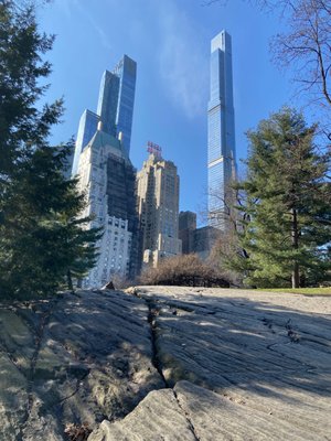 Hallett Nature Sanctuary by null