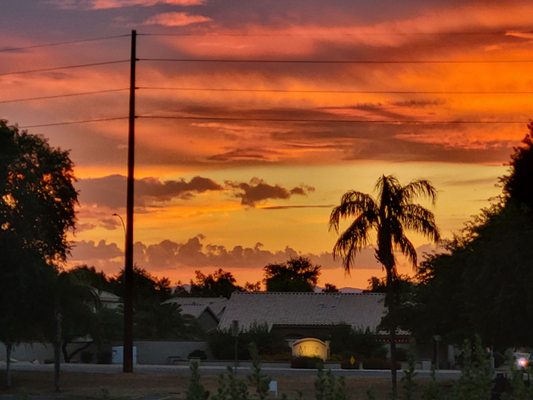 Patent 139 Brewing Co. by null