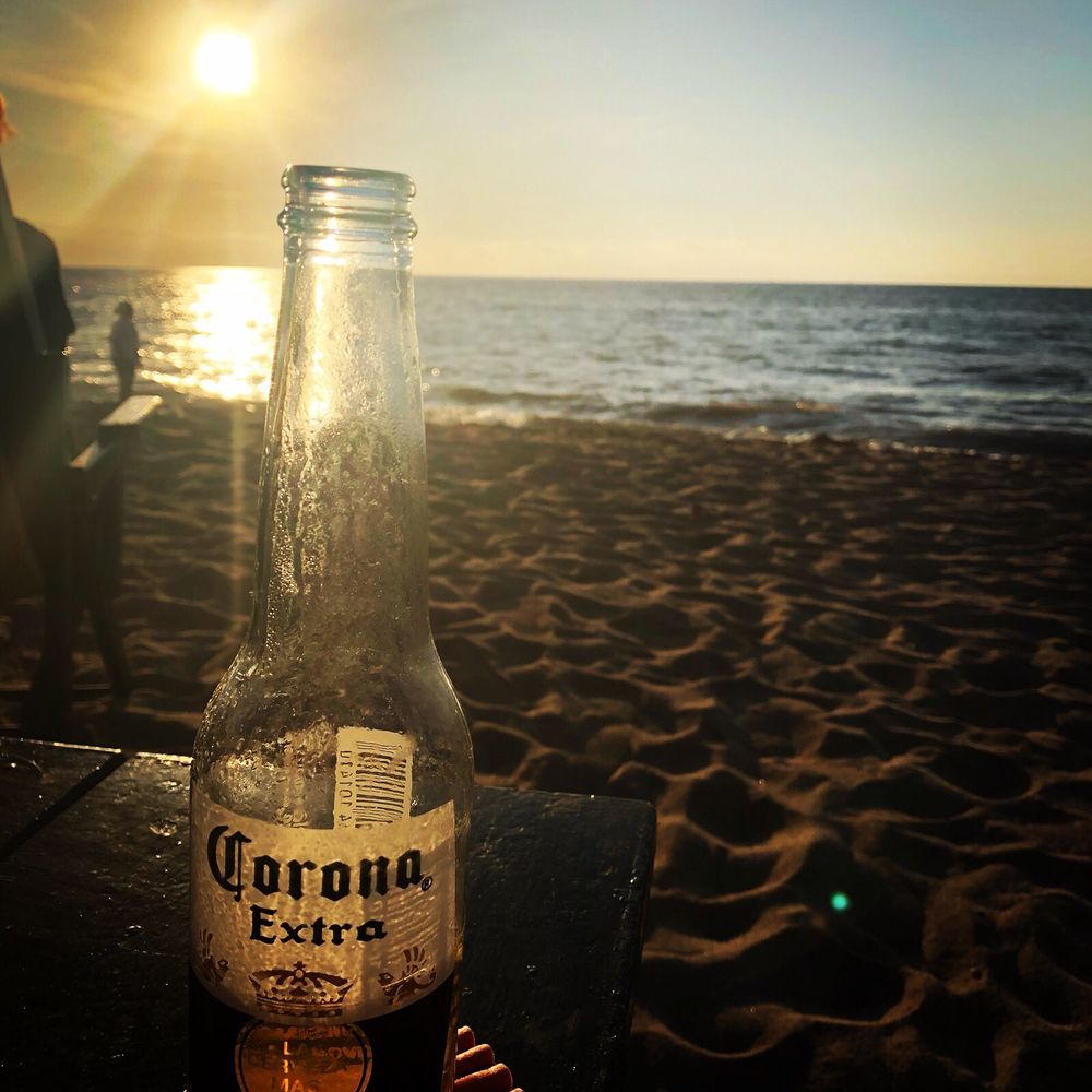 The Sea Monkey - Mexican Near Me - Puerto Vallarta, JAL