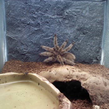 Fressnapf - Pet Stores Near Me - Berlin, BE Fressnapf - Pet Stores Near Me - Berlin, BE