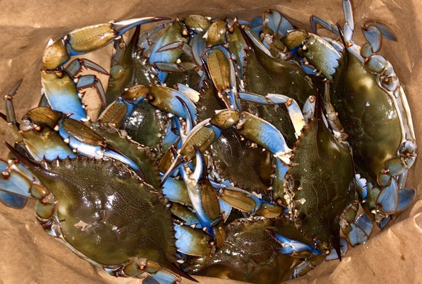 POP’S FISH MARKET - 208 Photos & 217 Reviews - 131 W Hillsboro Blvd