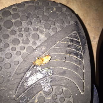 Motel 6 - Bedbugs!! - Hotels Near Me - Victorville, California Motel 6 - Bedbugs!! - Hotels Near Me - Victorville, California