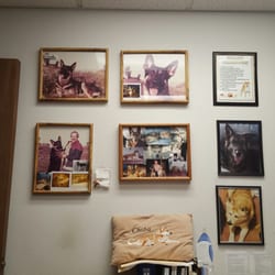 John T Phillipp, MD - John loves his dogs