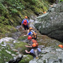 Shenandoah Mountain Guides - Into the green room...