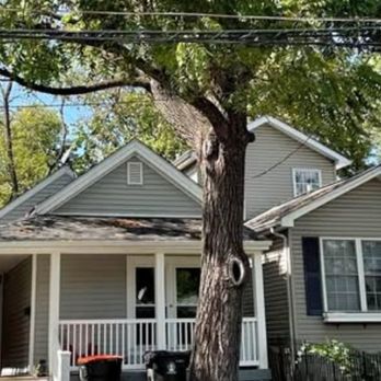 Hagan Contracting and Logging - Tree Services Near Me - Tompkinsville, Kentucky Hagan Contracting and Logging - Tree Services Near Me - Tompkinsville, Kentucky