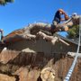 Photo of Reyes Gardener and Tree Service