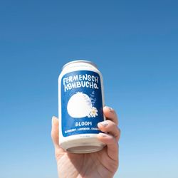Fermensch Kombucha